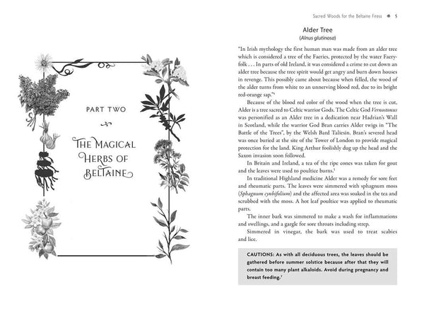 Sacred Herbs of Spring by Ellen Evert Hopman